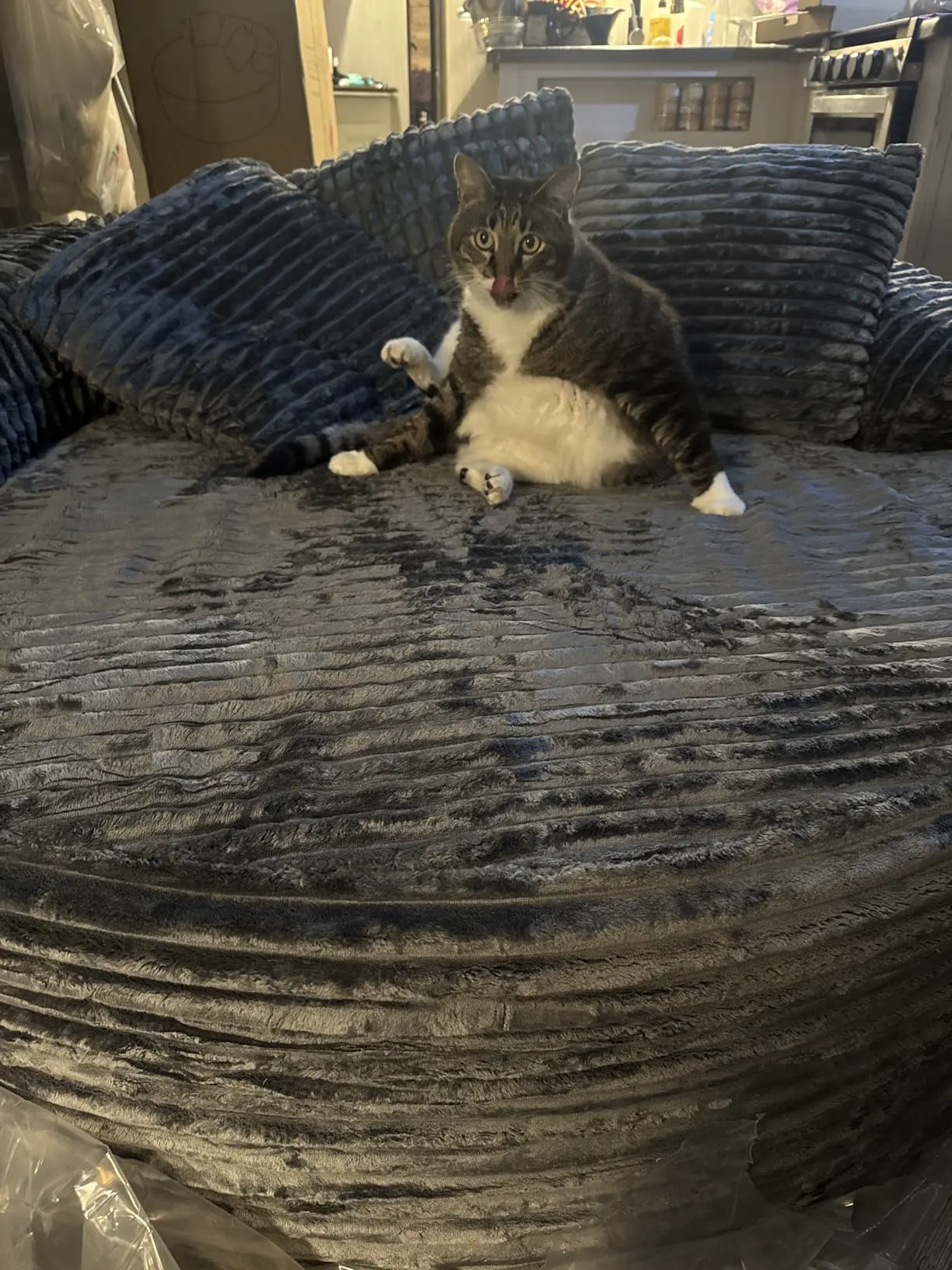 CloudLuxe fotoliu rotund, fotografie client 1